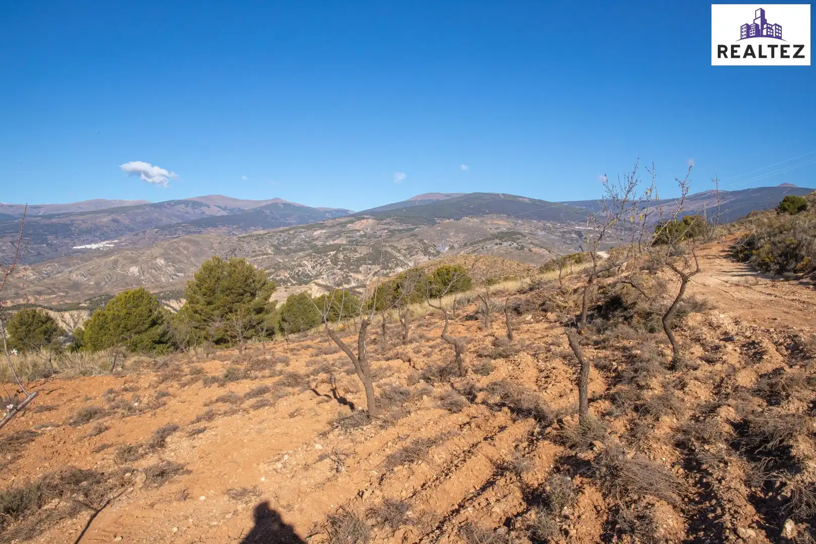 Terrain rustique à vendre à Alcolea, imagen 8