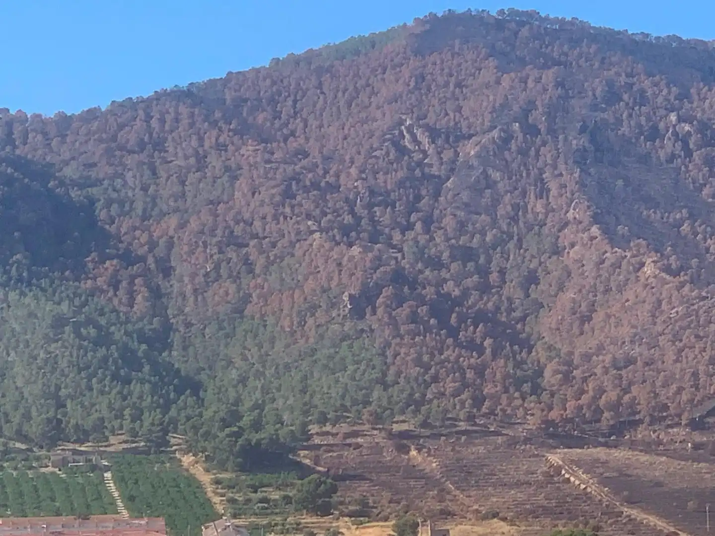 Ático de alquiler en Murcia con Aire acondicionado, Calefacción y Terraza
