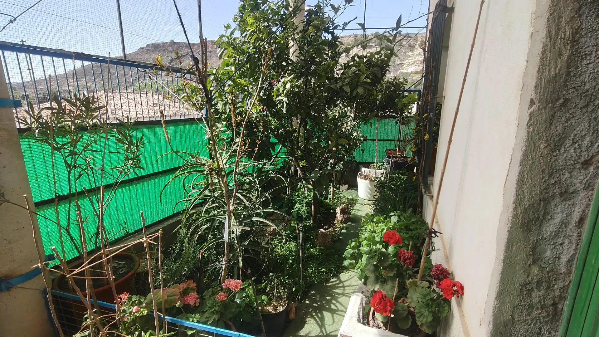 Jardí de Casa o xalet en venda en Baza