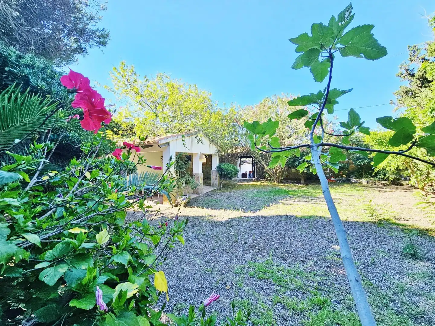 Jardín de Casa o chalet en venta en Moraira con Aire acondicionado, Calefacción y Jardín privado