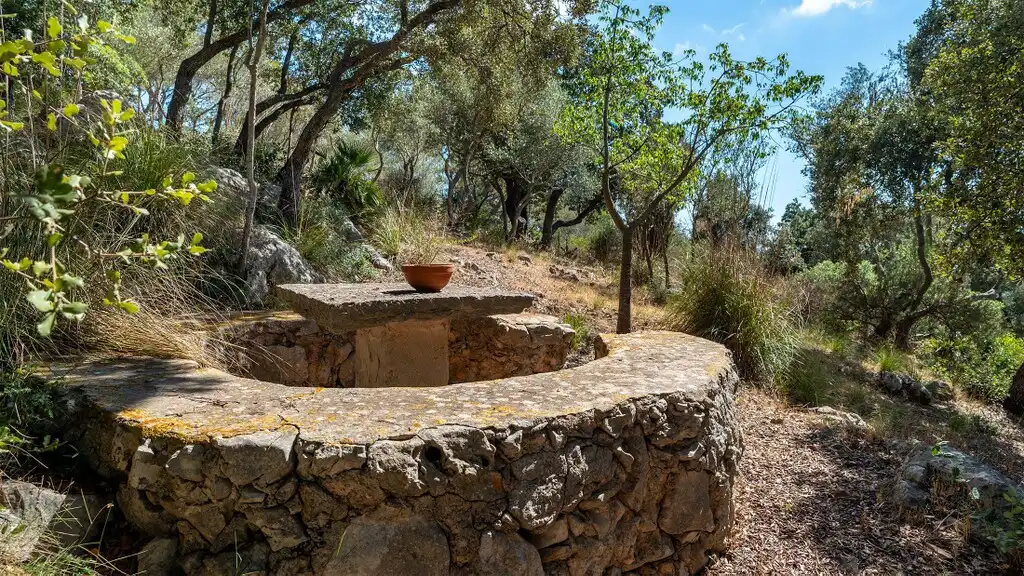 Xalet amb piscina en venda a Puigpunyent, imagen 31