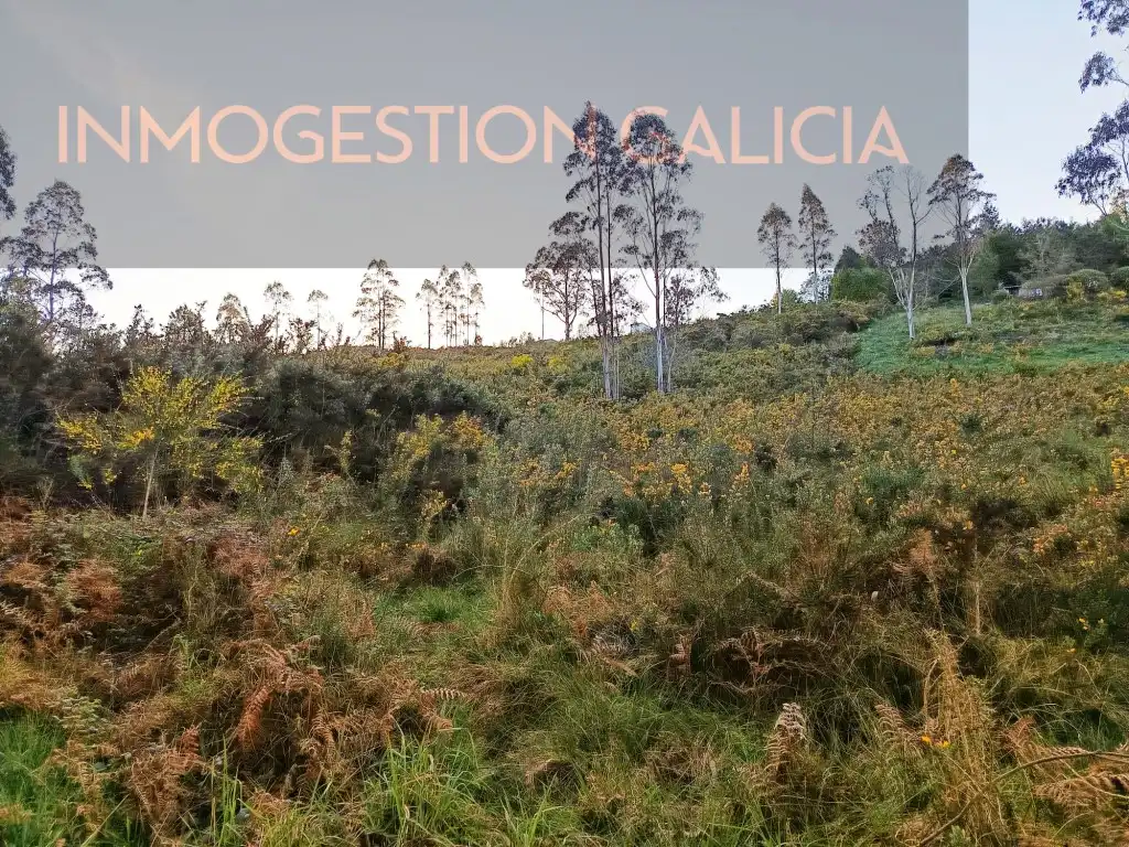 Residential land for sale in Rua Magnolio, imagen 6