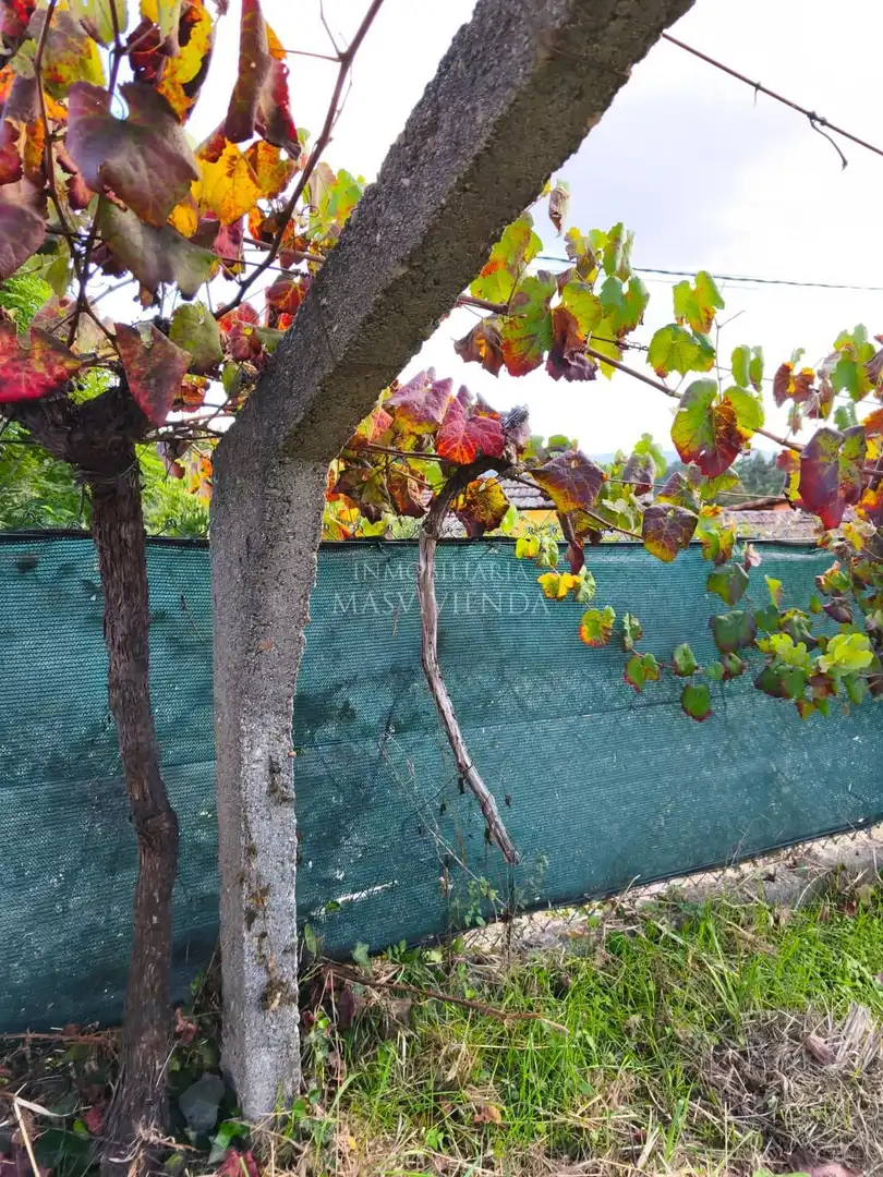 Casa o xalet en venda a Salvaterra de Miño