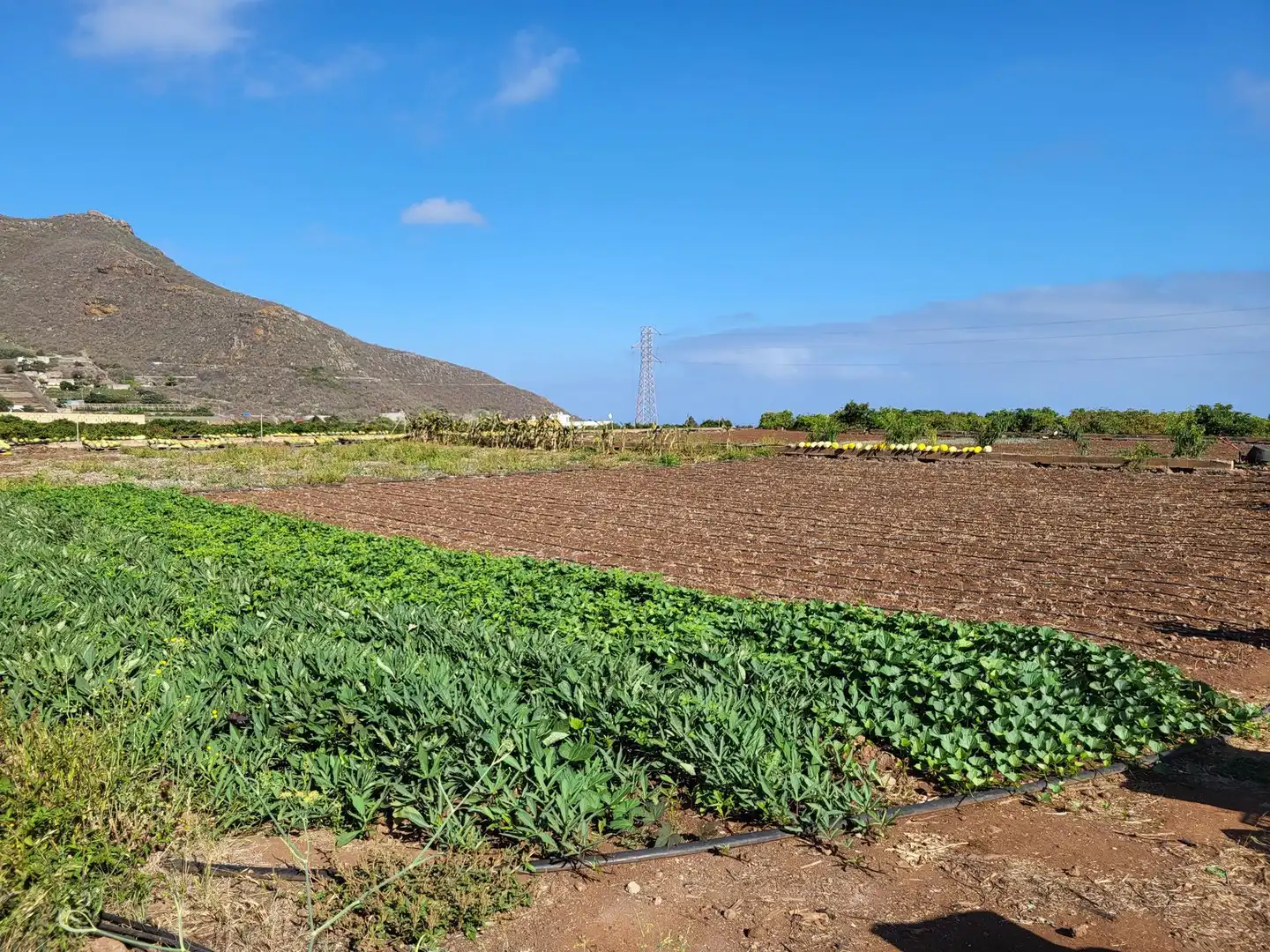 Finca rústica en venta en Tegueste con Terraza, Trastero y Piscina