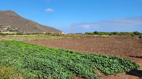 Photo 5 of Country house for sale in Tegueste, Santa Cruz de Tenerife