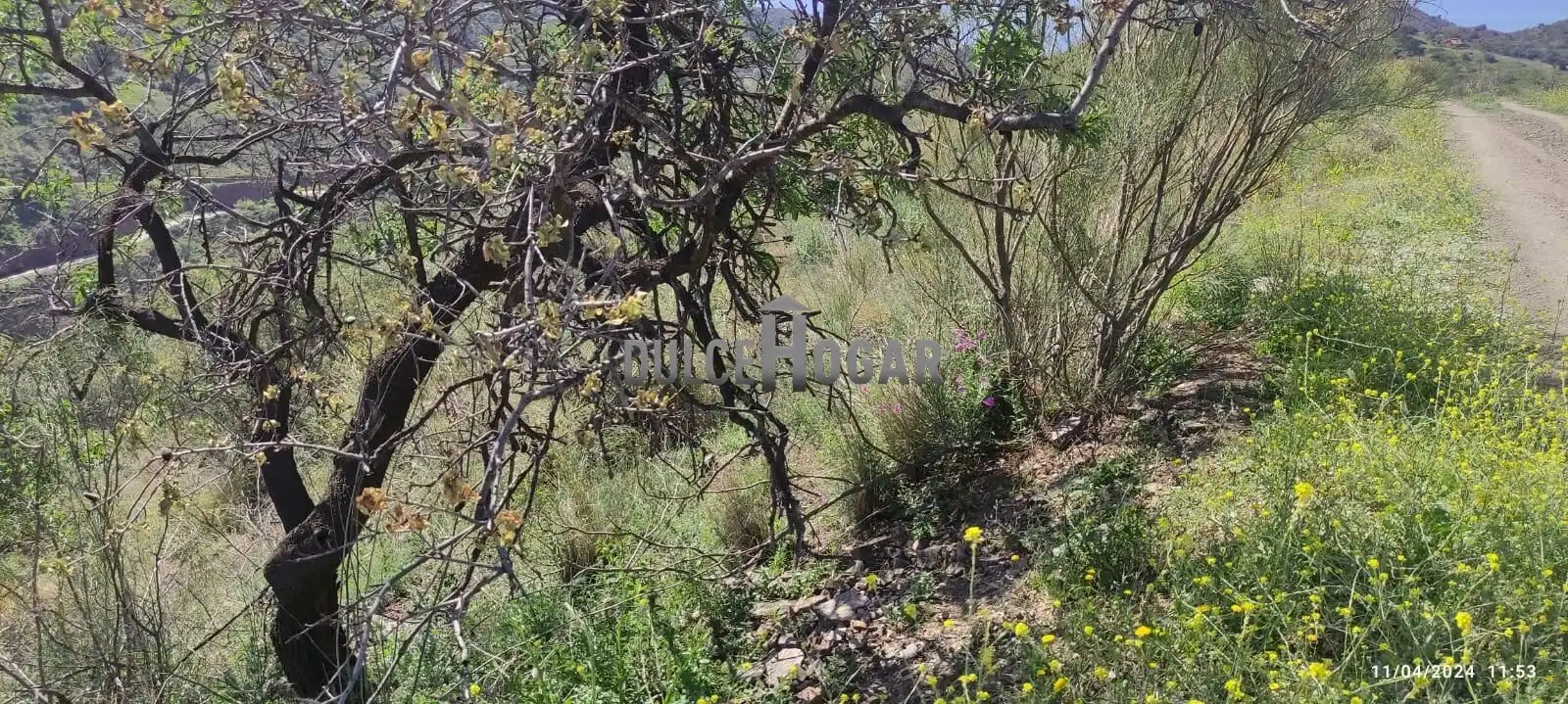 Terrenys i solars en venda a Ciudad Jardín, imagen 2