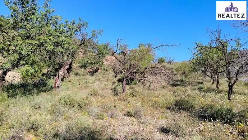 Rural land for sale in Felix, imagen 7