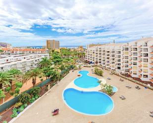 Vista exterior de Estudi de lloguer en Arona amb Terrassa, Moblat i Piscina comunitària
