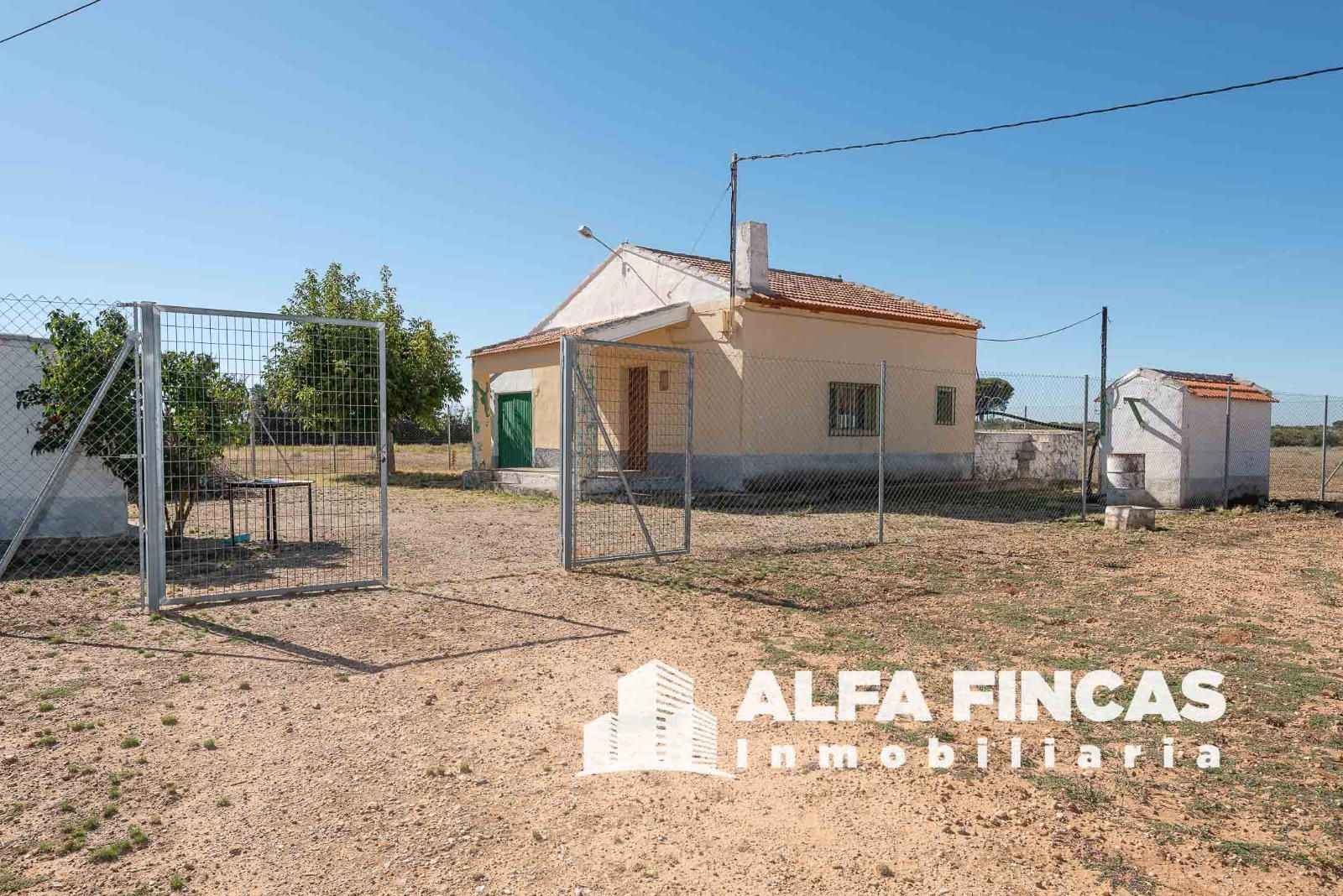 Vista exterior de Casa o xalet en venda en El Provencio   amb Jardí privat i Piscina