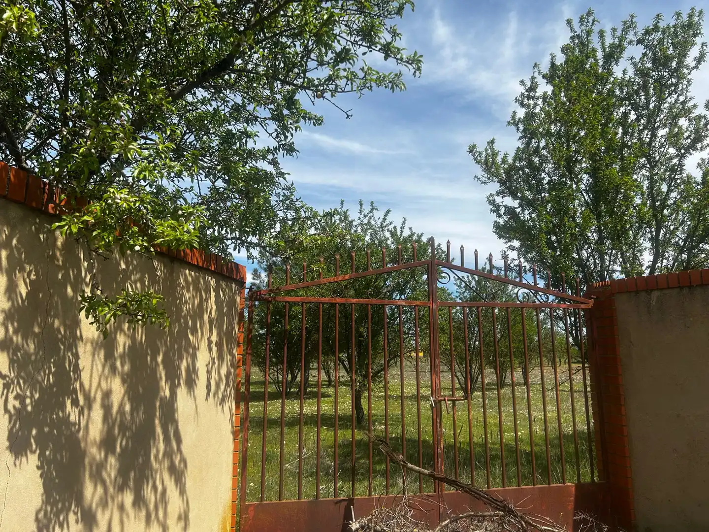 Terreny rústic en venda a Miguelturra, imagen 4