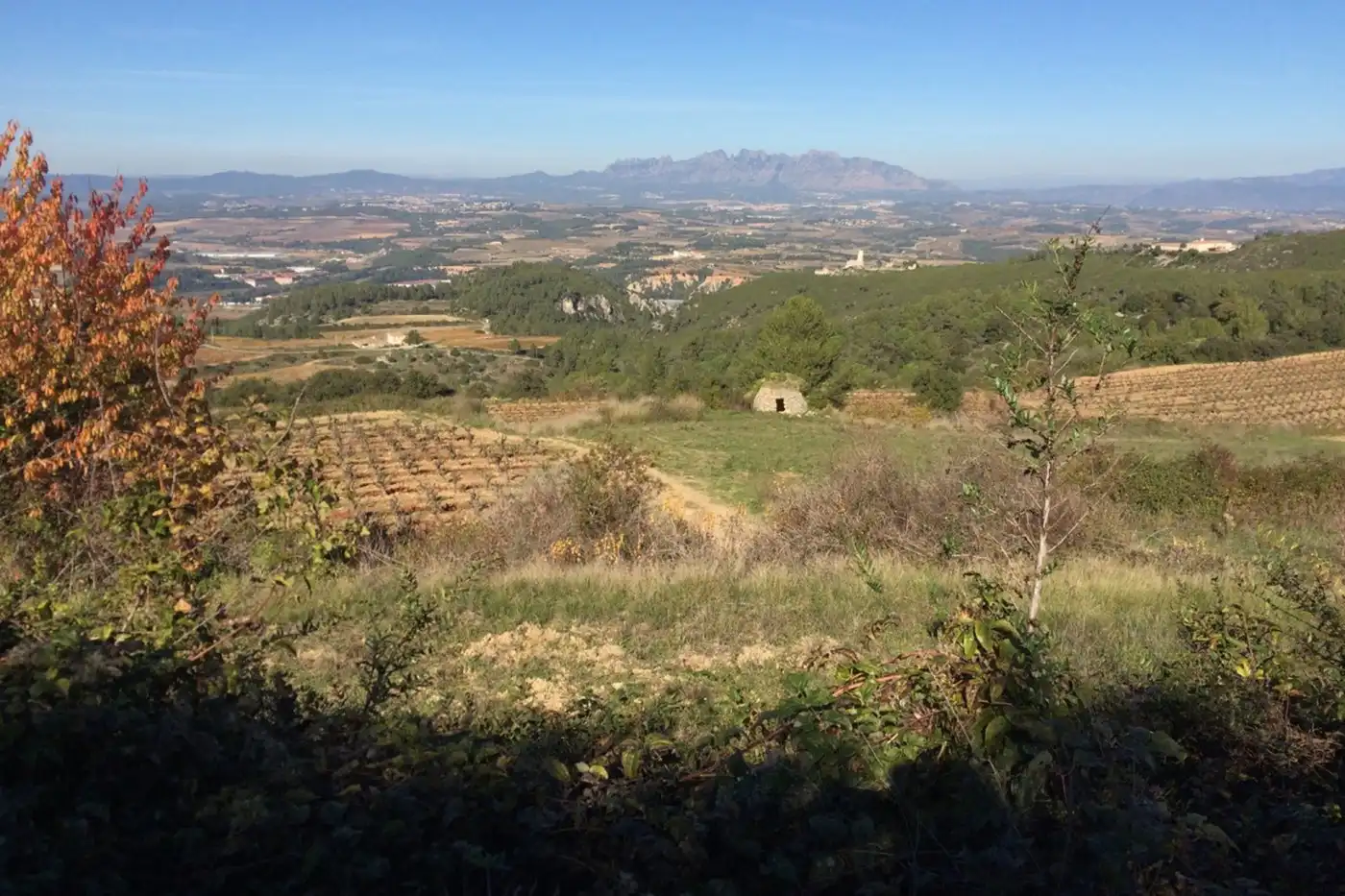 Finca rústica en venta en Sant Sadurní d'Anoia con Aire acondicionado, Calefacción y Jardín privado