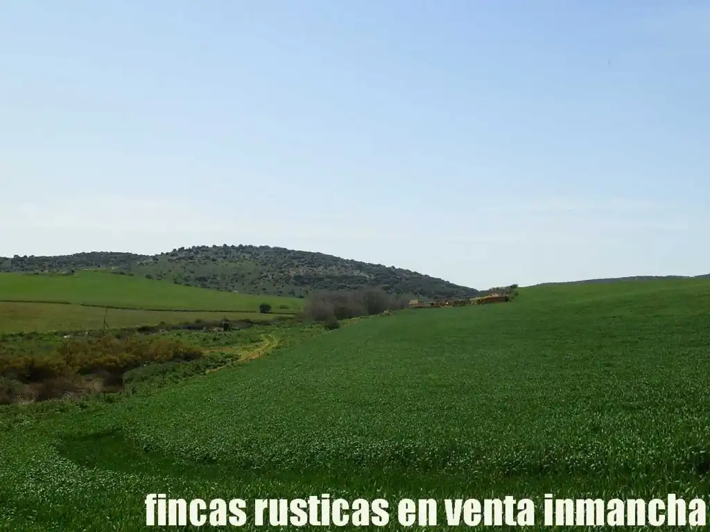 Terreno rustico in vendita a Centro - Plaza Mayor, imagen 12