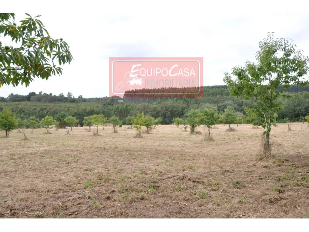 Casa o chalet en venta en Monterroso con Jardín privado y Alarma