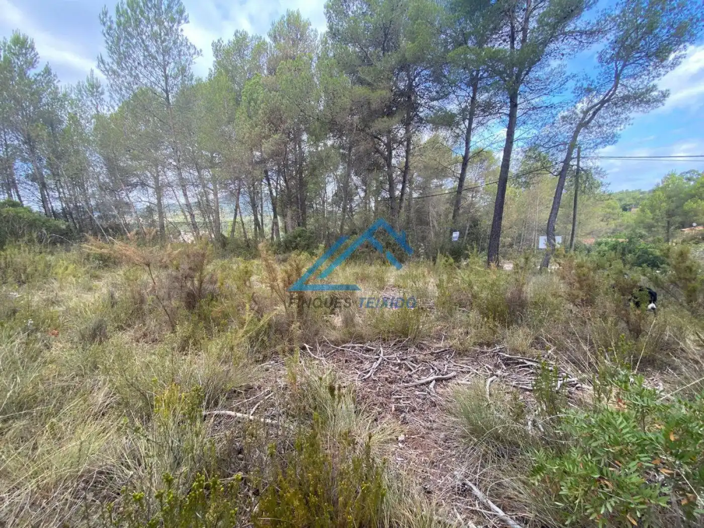 Residential land for sale in Urbanizacion Urbanizacion MOIXETA XLII, 15, puerta C, imagen 12