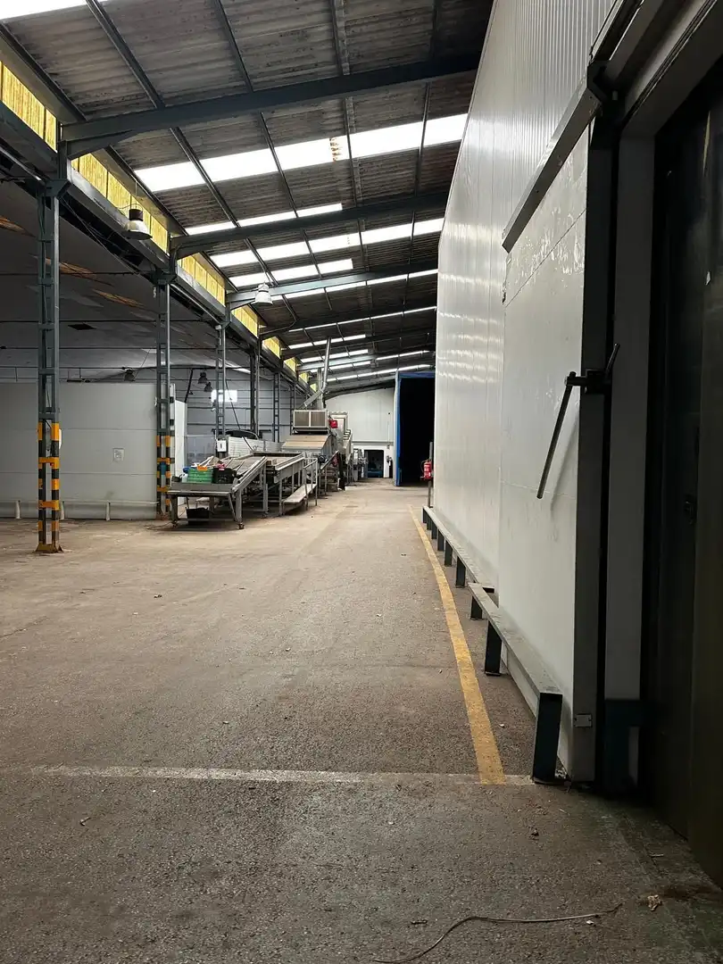 Nave industrial en venta en Calle Vereda de las Palmeras, imagen 3