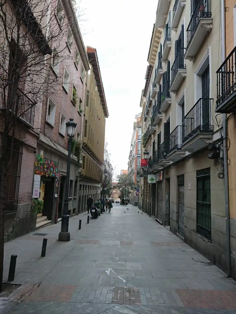 Estudi de lloguer a Centro, imagen 20