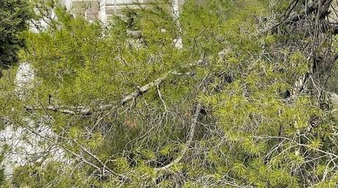 Photo 5 of Country house for sale in Escandinavia - Cautivador, L'Alfàs del Pi