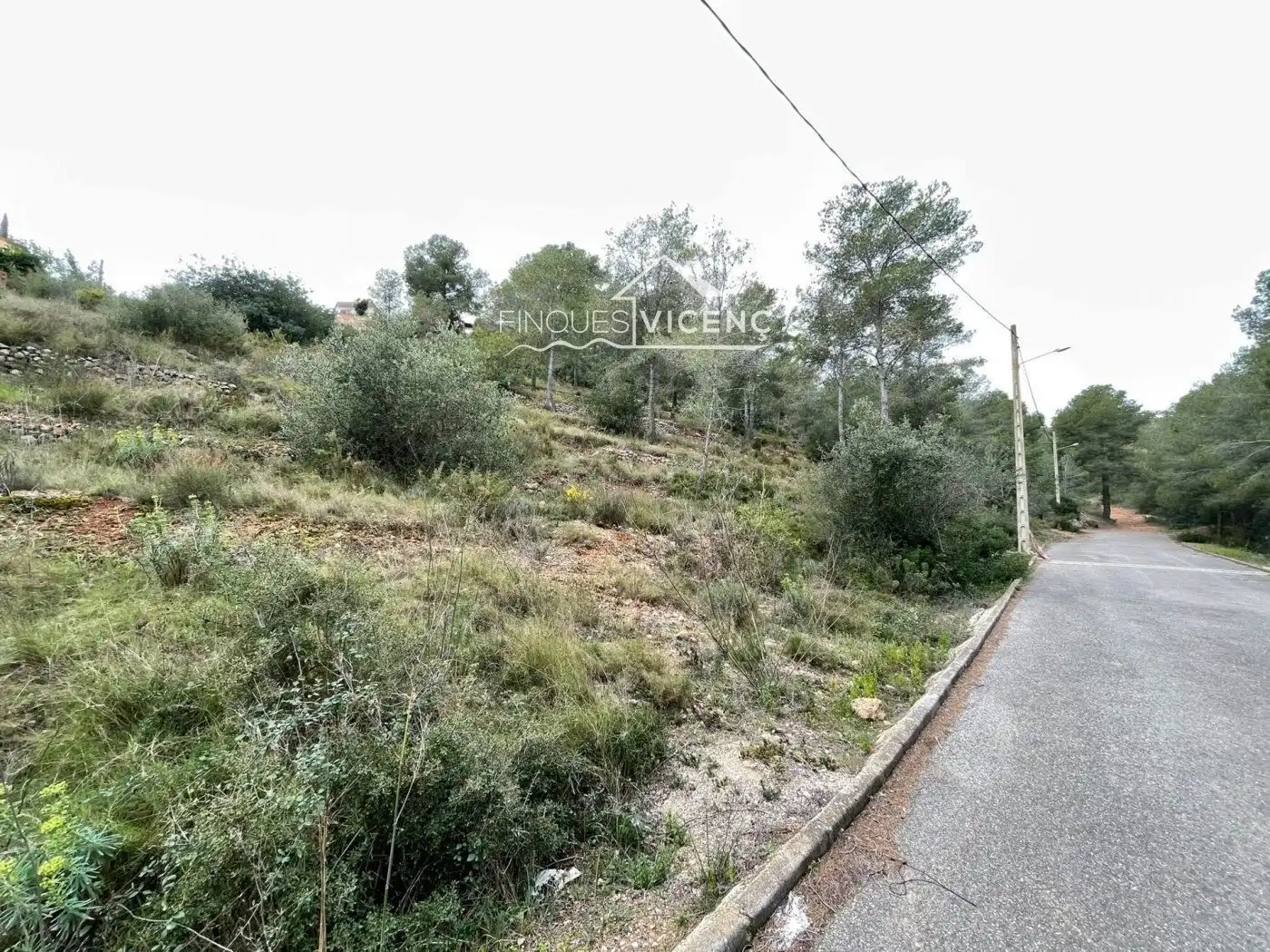 Rural land for sale in Segovia-Priorat, imagen 3