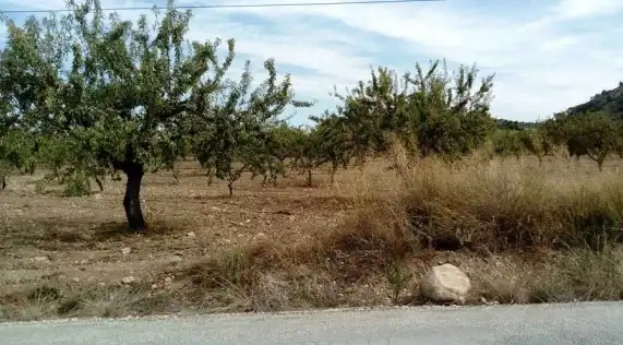 Lands and plots for sale in Paraje Ardal, imagen 7