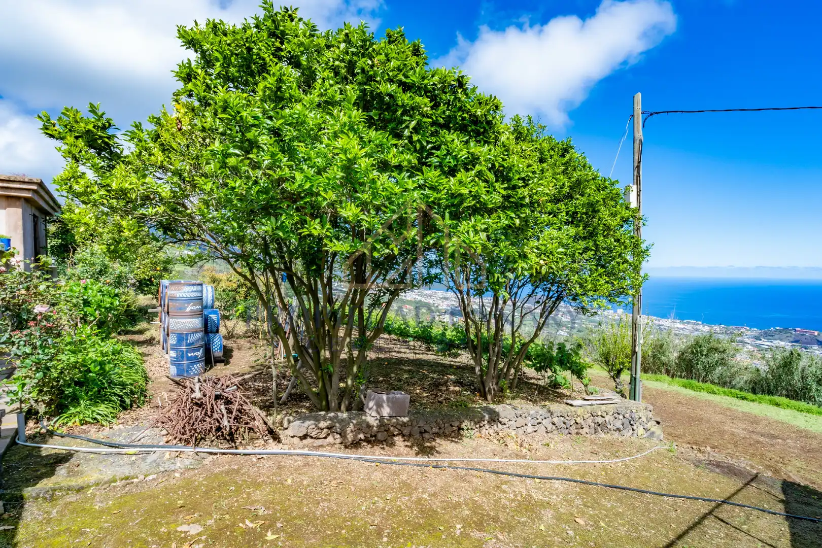 Casa rústica con jardín en venta en La Perdoma - San Antonio - Benijos, imagen 60