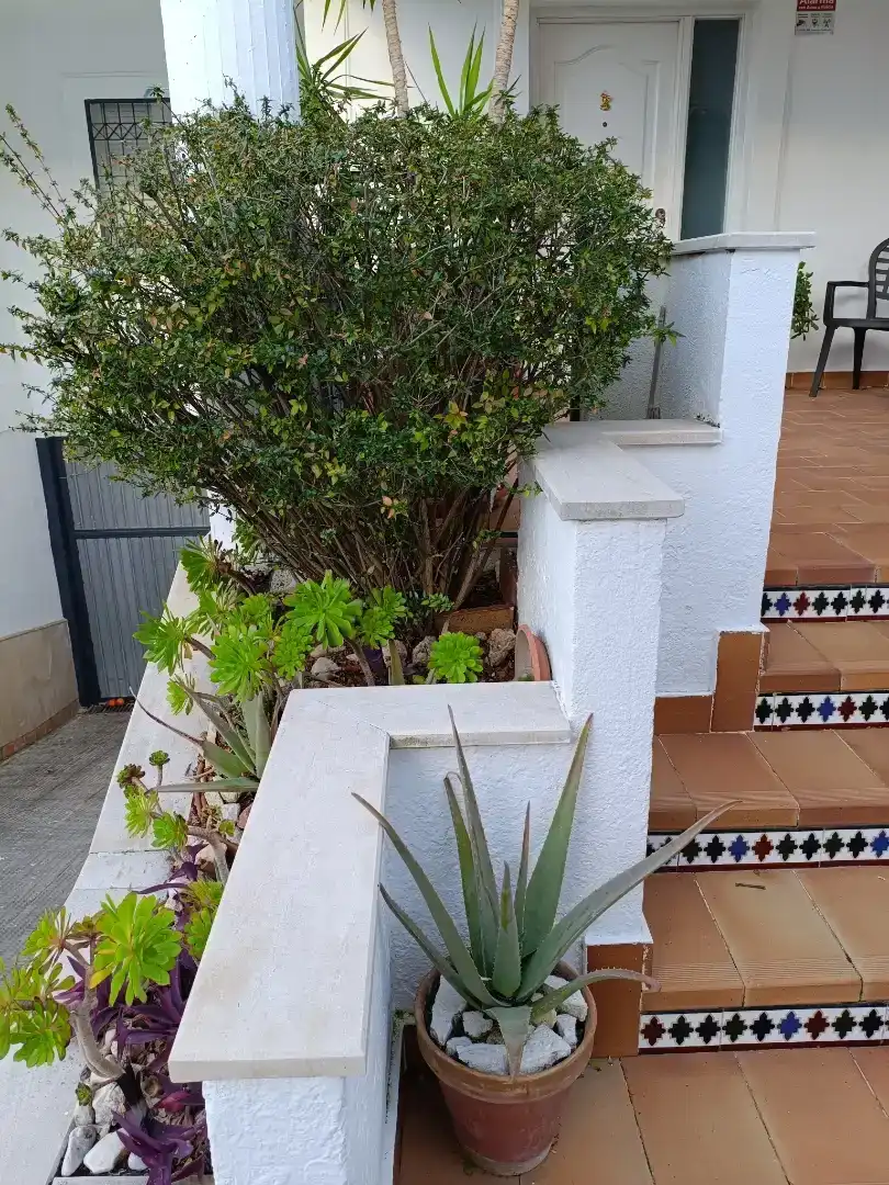 Terrassa de Casa adosada en venda en Jaén amb Piscina, Moblat i Balcó