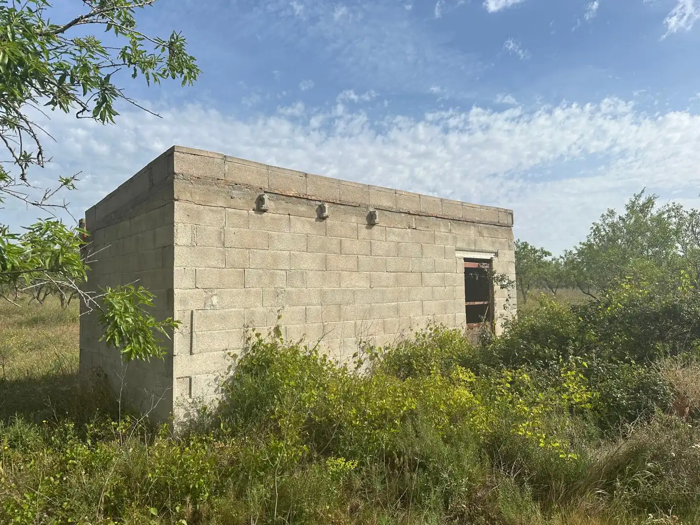 Exterior view of Land for sale in Traiguera