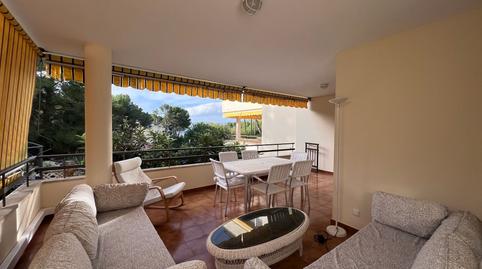 Foto 2 de Apartamento de alquiler en Avenida Rei Jaume I /s. Ponsa, Santa Ponça, Illes Balears