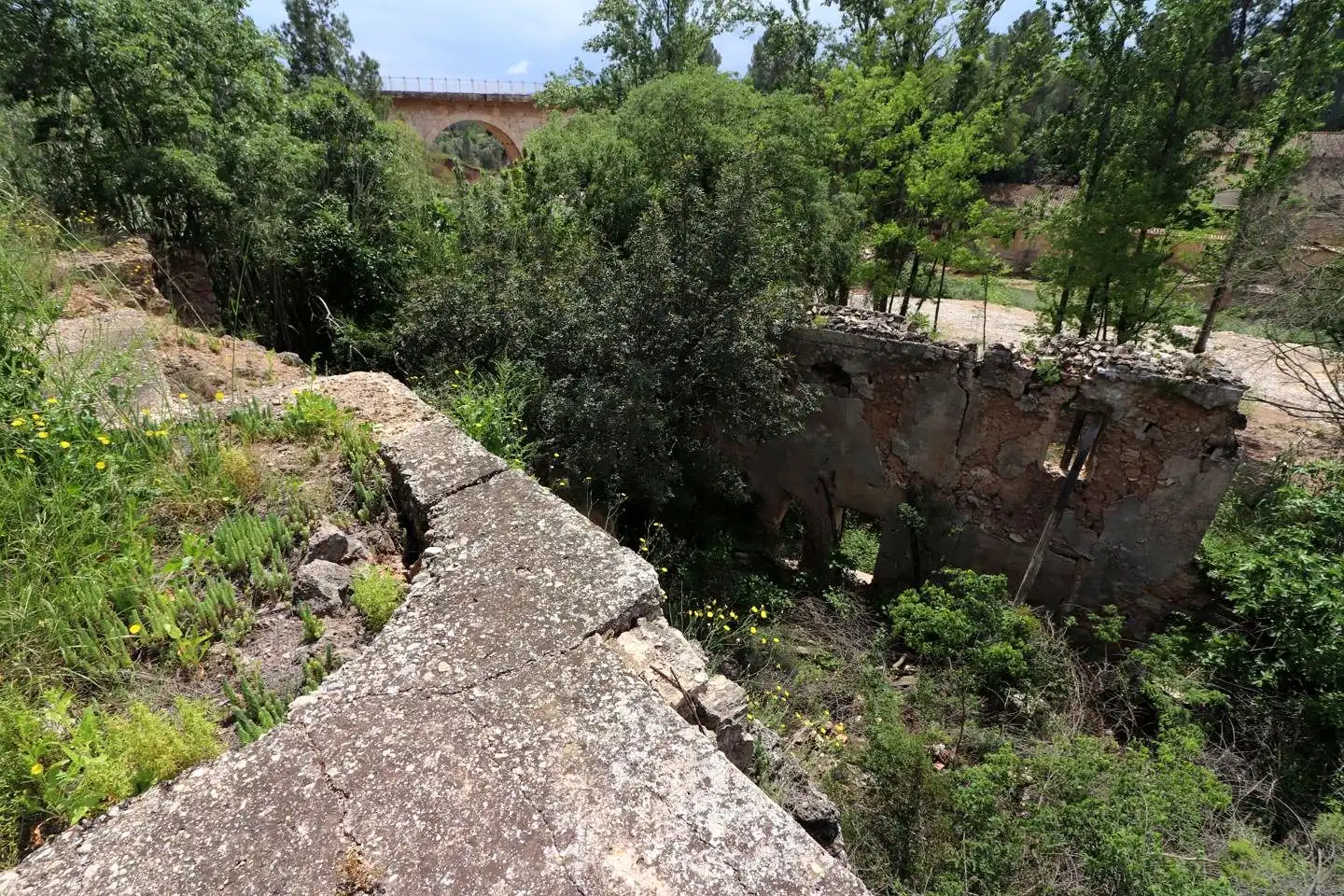 Grundstücke und Bauplätze zum Verkauf in Alborache, imagen 13