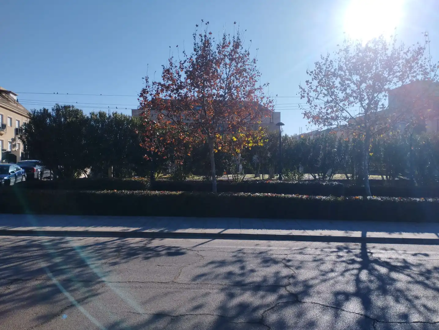Exterior view of Buildings for sale in Poblete