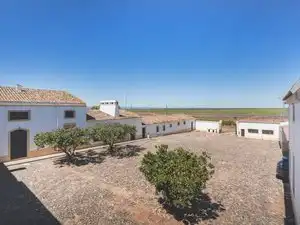 Jardí de Finca rústica en venda en Badajoz amb Jardí privat, Terrassa i Piscina
