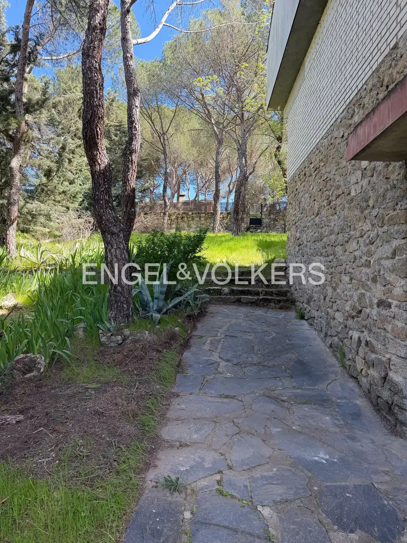 Terrassa de Casa o xalet en venda en Las Rozas de Madrid amb Calefacció, Jardí privat i Piscina