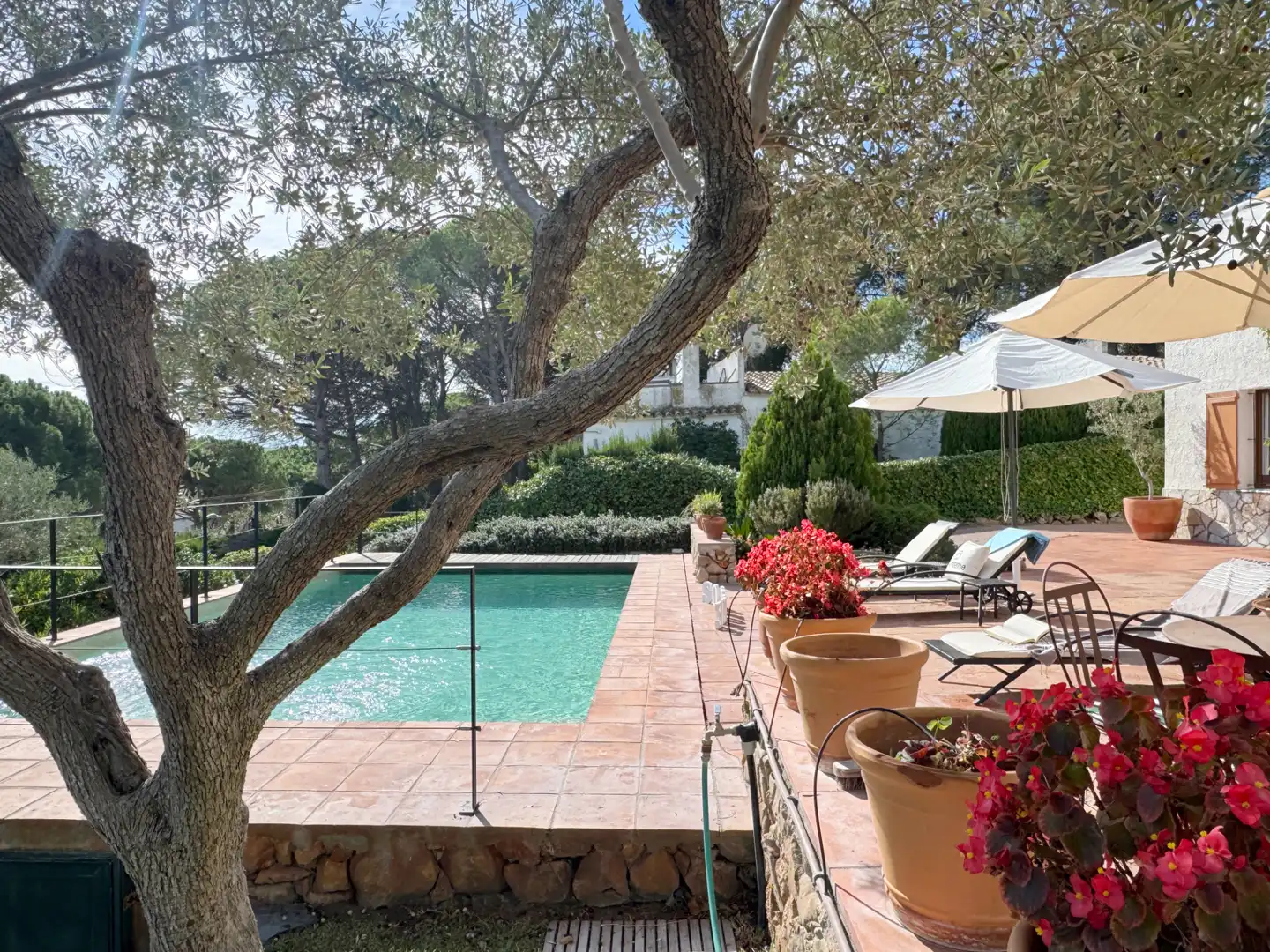 Jardín de Casa o chalet en venta en Empúries