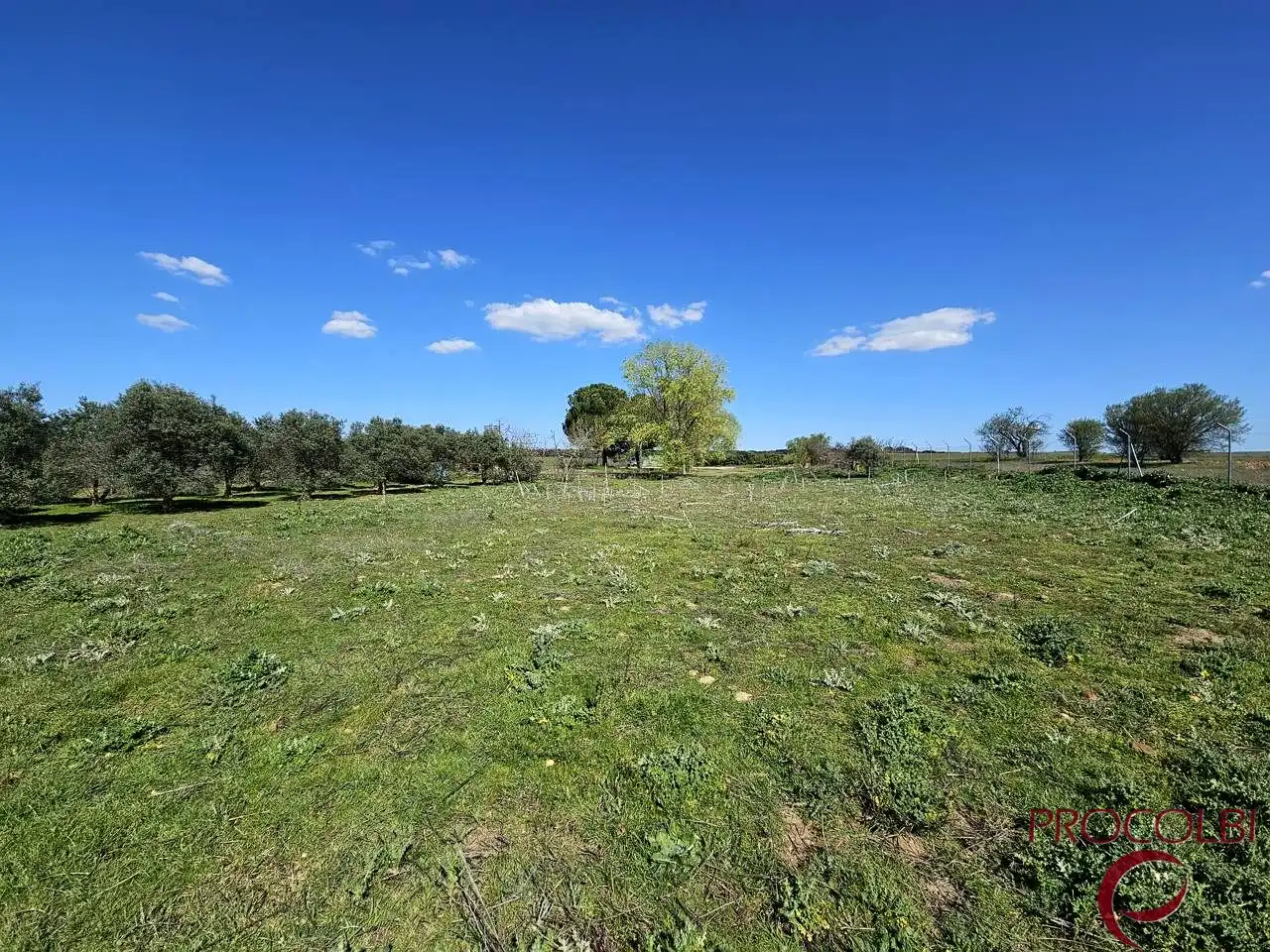 Terreno en venta en Valdeolmos-Alalpardo