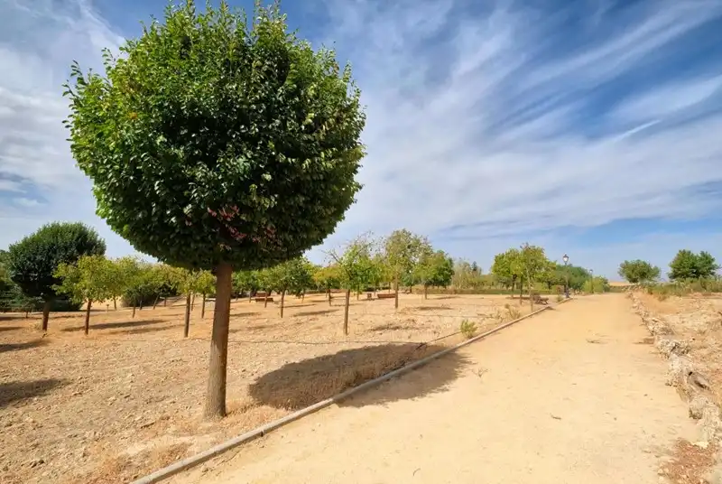 Terreno residencial en venta en Calle Veleta, imagen 10