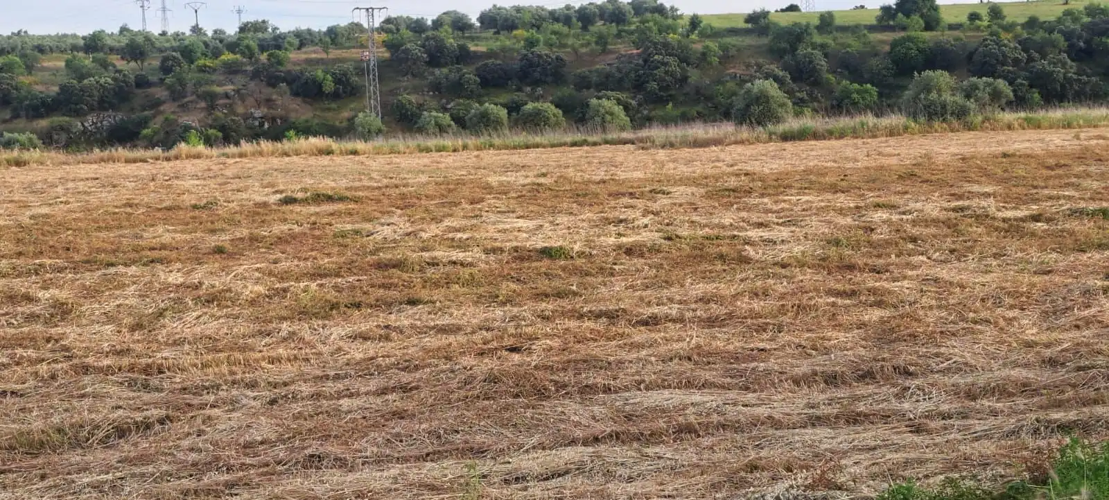 Land for sale in El Puente del Arzobispo