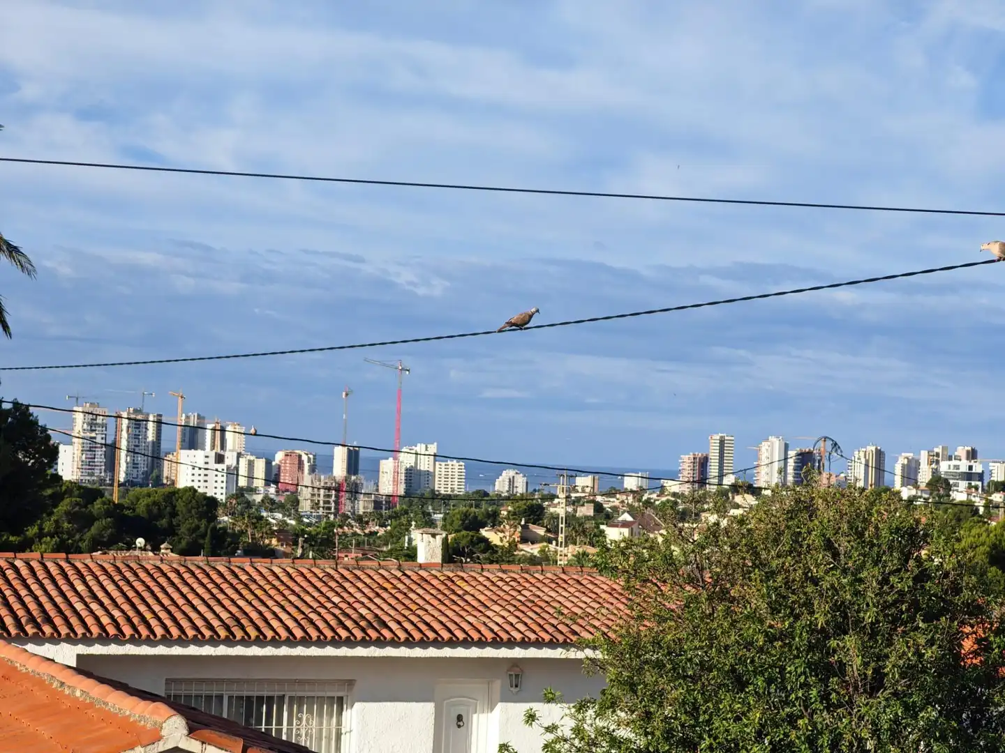 Vista exterior de Casa o xalet en venda en Calpe / Calp amb Aire condicionat, Calefacció i Jardí privat