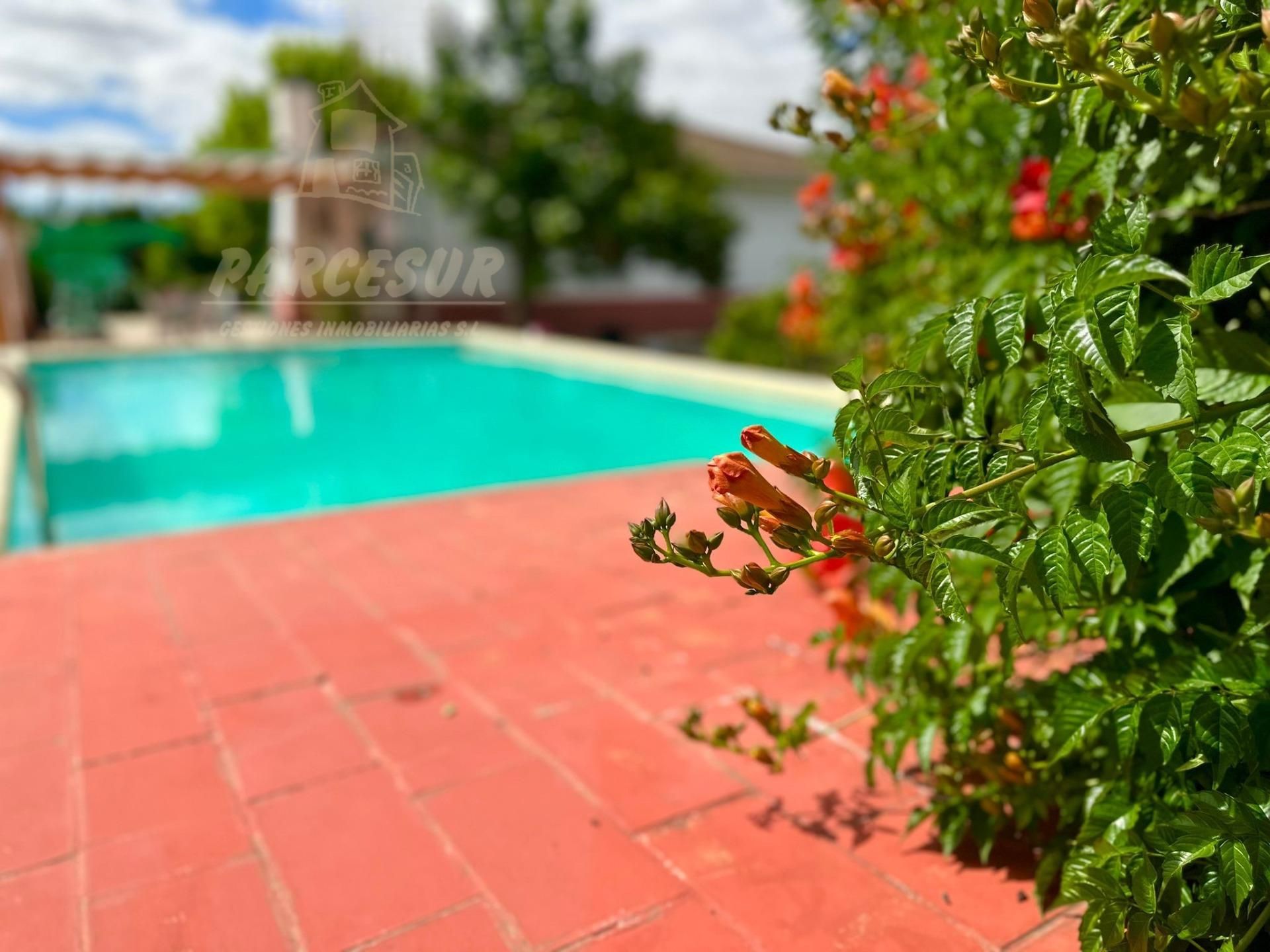 Piscina de Finca rústica en venda en  Córdoba Capital amb Aire condicionat, Jardí privat i Traster