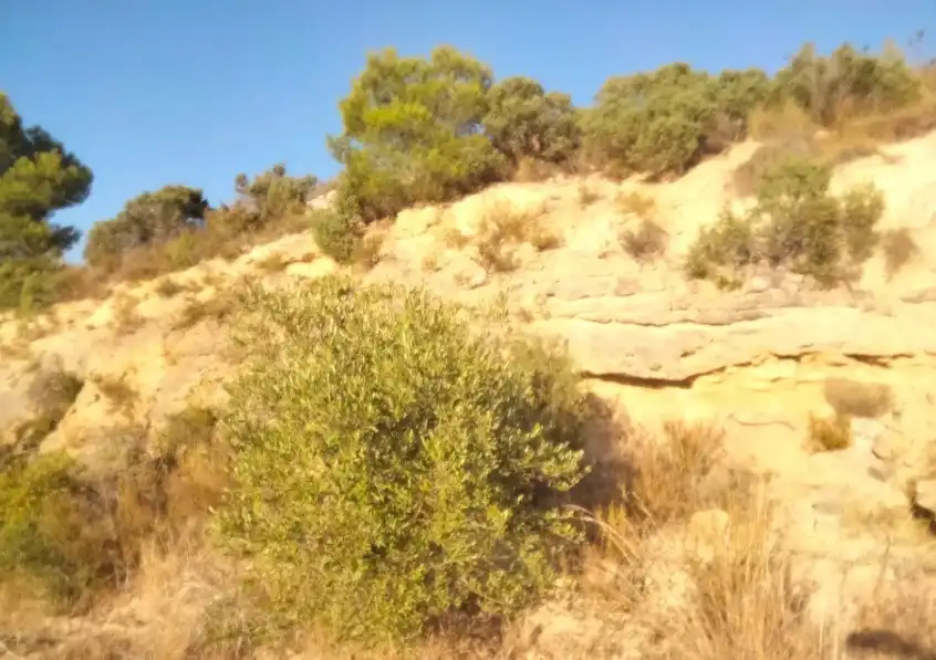 Terreno en venta en Torrent