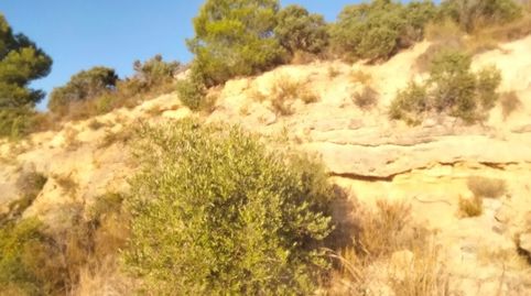 Foto 4 de Terreno en venta en Zona Avenida al Vedat, Torrent