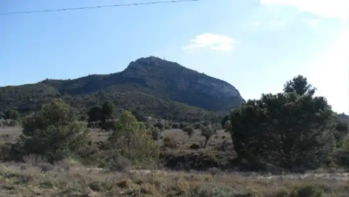 Terreno rústico en venta en Ptda Pinar, imagen 11