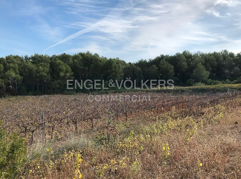 Fabrik Grundstücke zum Verkauf in Avinyonet del Penedès