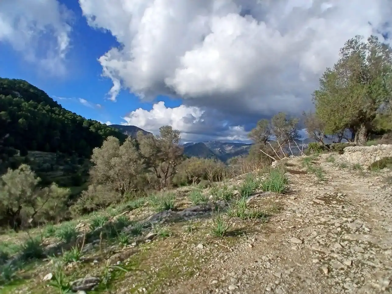 Finca rústica en venta en Mancor de la Vall