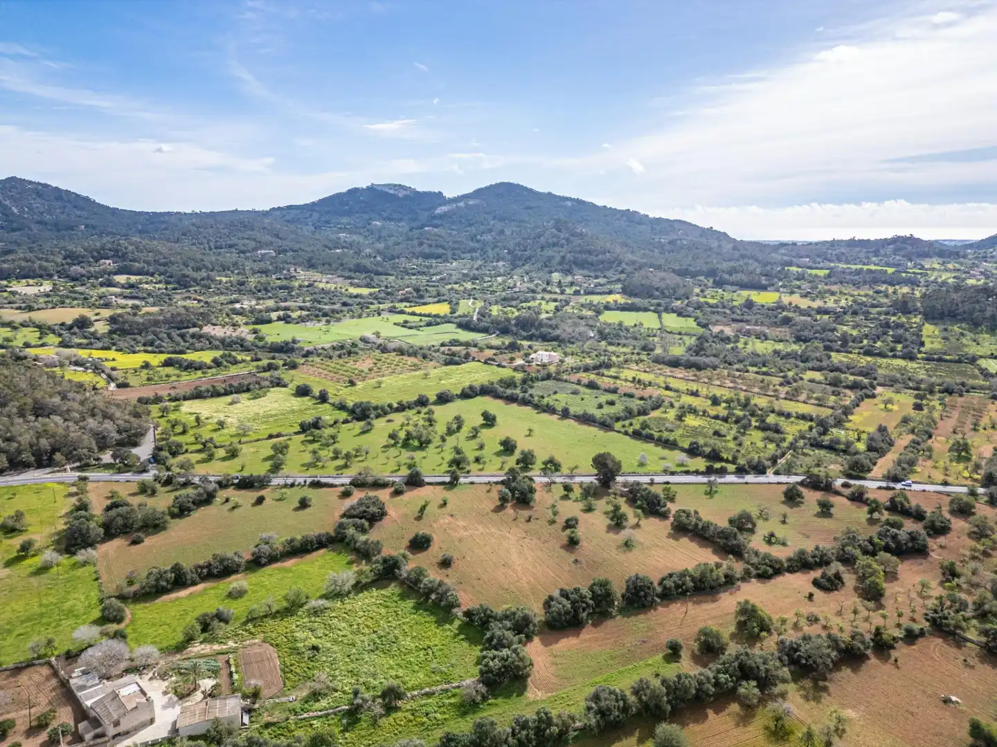 Rural land for sale in Felanitx Poble, imagen 11