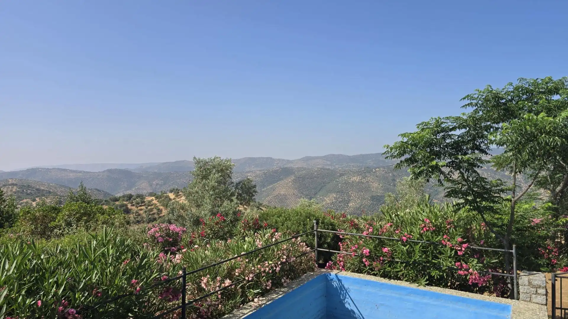 Jardín de Finca rústica en venta en Pozoblanco