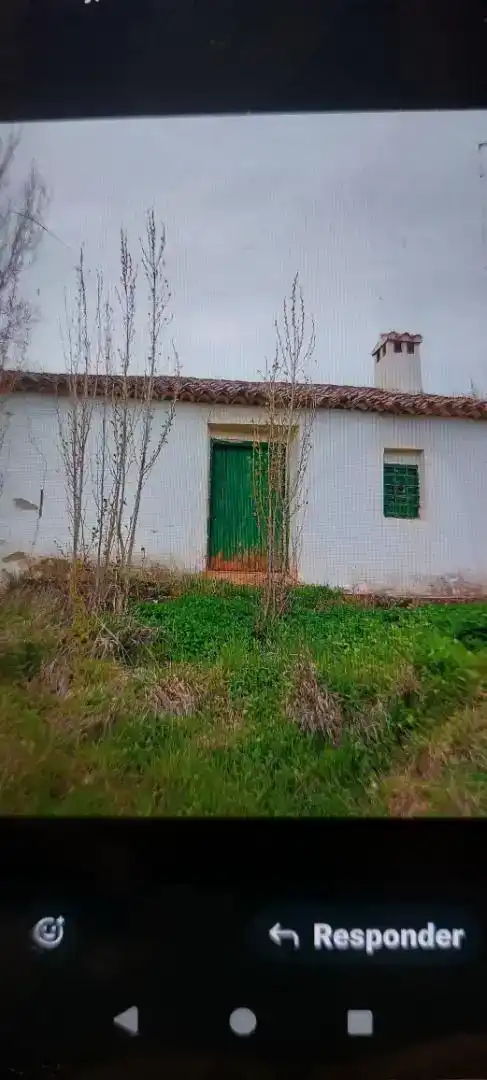 Vista exterior de Finca rústica en venda en Alcaraz, Albacete