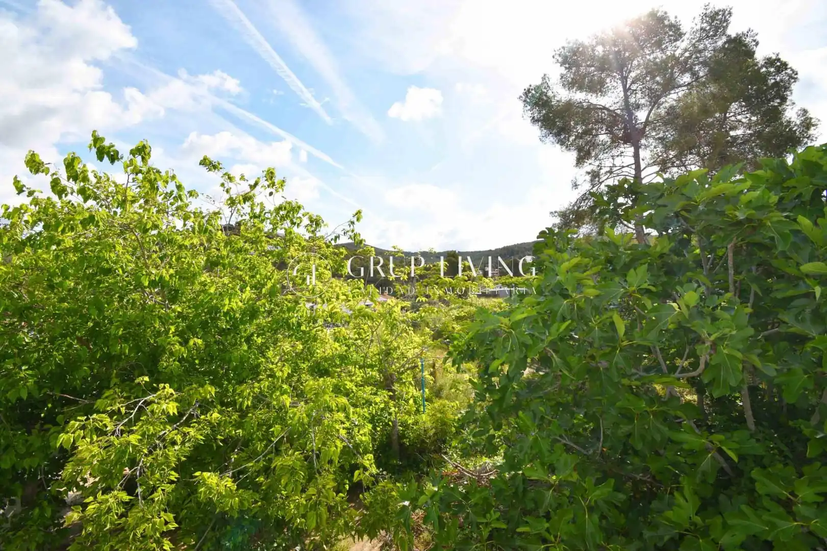 Residential land for sale in Mas Alba, imagen 8