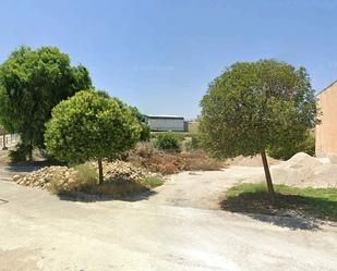 Land for sale in Torre-Cardela