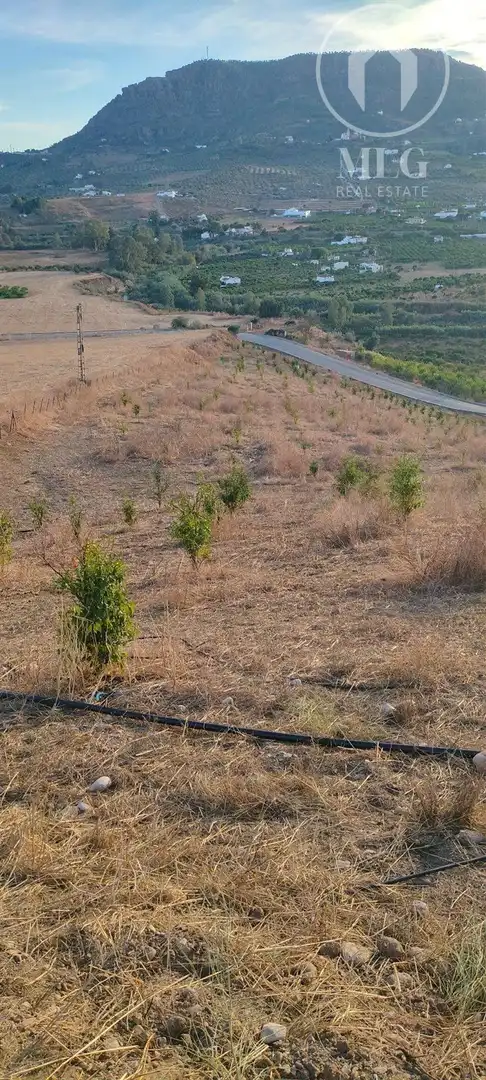 Terreni e lotti in vendita a 29, imagen 12