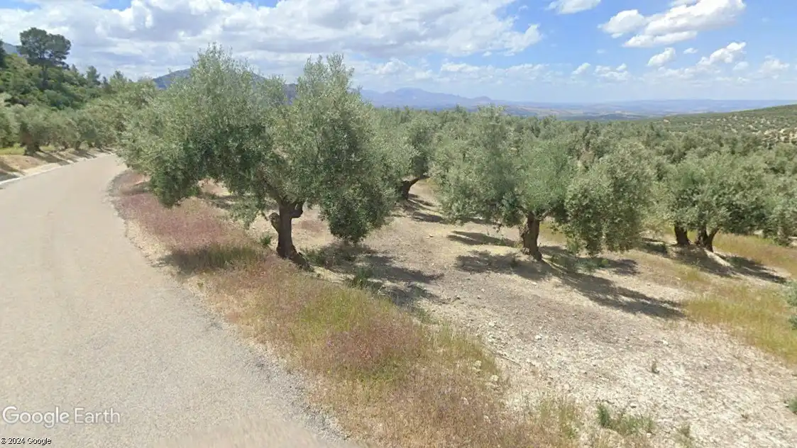 Terreni e lotti in vendita a Quesada, imagen 9