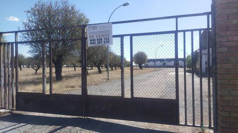 Se Vende Antigua Bodega o Terreno en Torralba de Calatrava, imatge 2